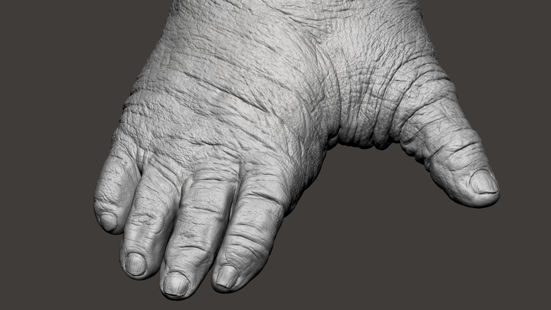 3D Gorilla Ultimate VFX Zbrush Sculpture digitale model https://p.turbosquid.com/ts-thumb/oI/zjPkEW/np/45/jpg/1636555454/1920x1080/fit_q87/38f56b972bc6e1034c53b64d74a94b31814d396e/45.jpg