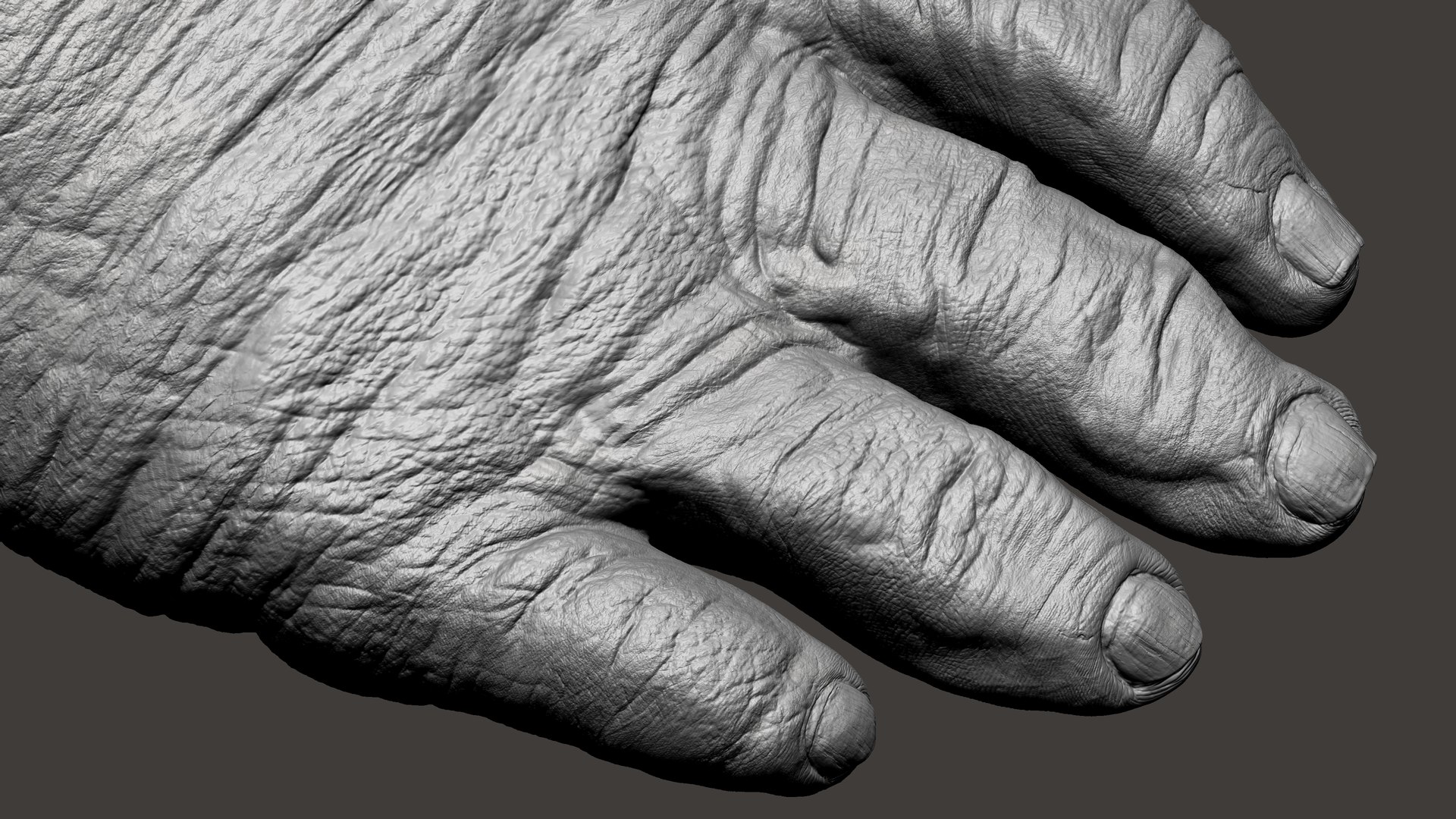 3D Gorilla Ultimate VFX Zbrush Sculpture digitale model https://p.turbosquid.com/ts-thumb/oI/zjPkEW/tY/55/jpg/1636555476/1920x1080/fit_q87/89917d2d25bcd8198b75b9b88d175f4c830c0d7a/55.jpg
