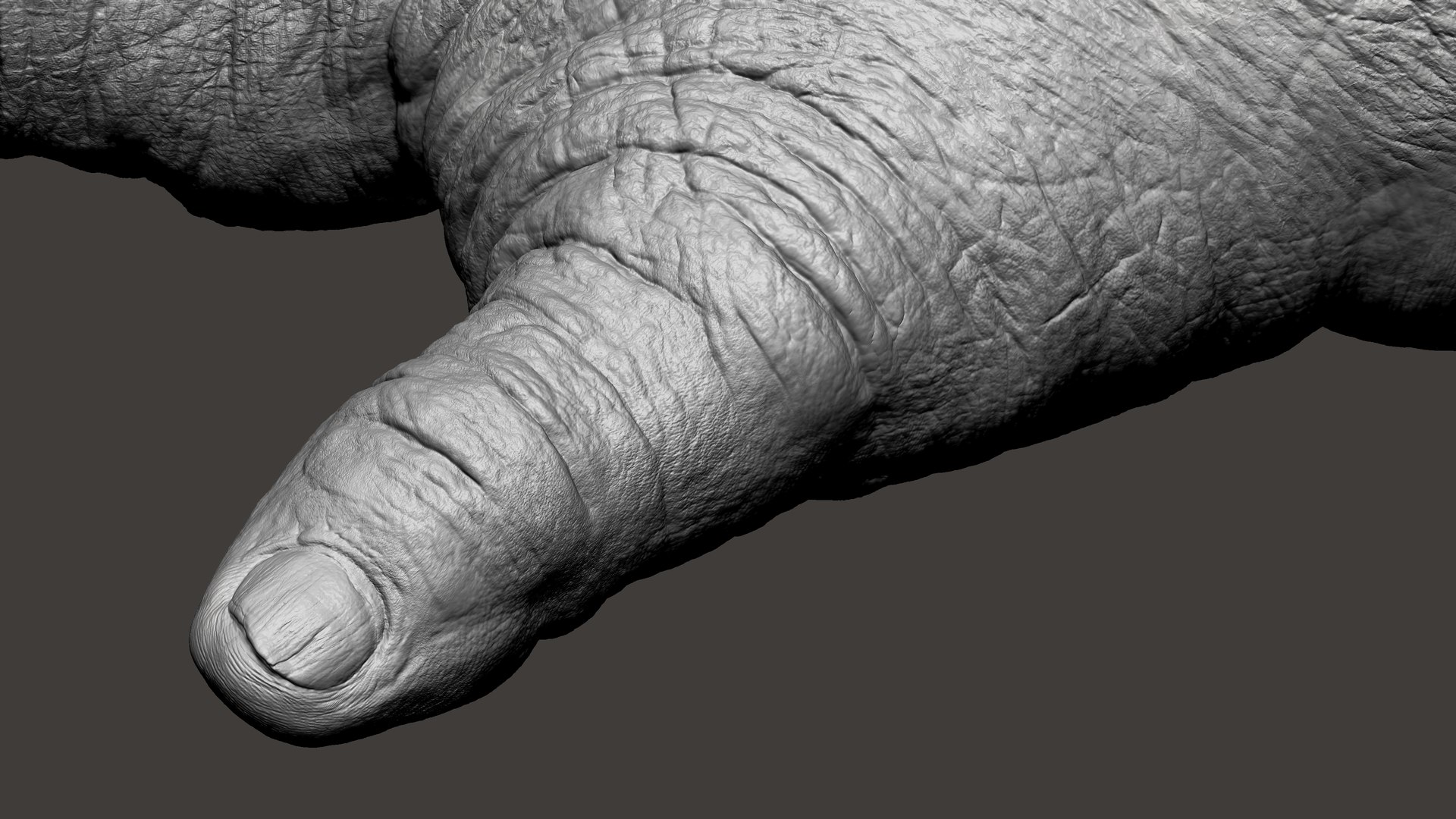 3D Gorilla Ultimate VFX Zbrush Sculpture digitale model https://p.turbosquid.com/ts-thumb/oI/zjPkEW/yu/53/jpg/1636555460/1920x1080/fit_q87/b3ed7dc6e01e956d4c5242f6d509c11965ccf50e/53.jpg