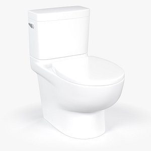 Classic White Toilet
