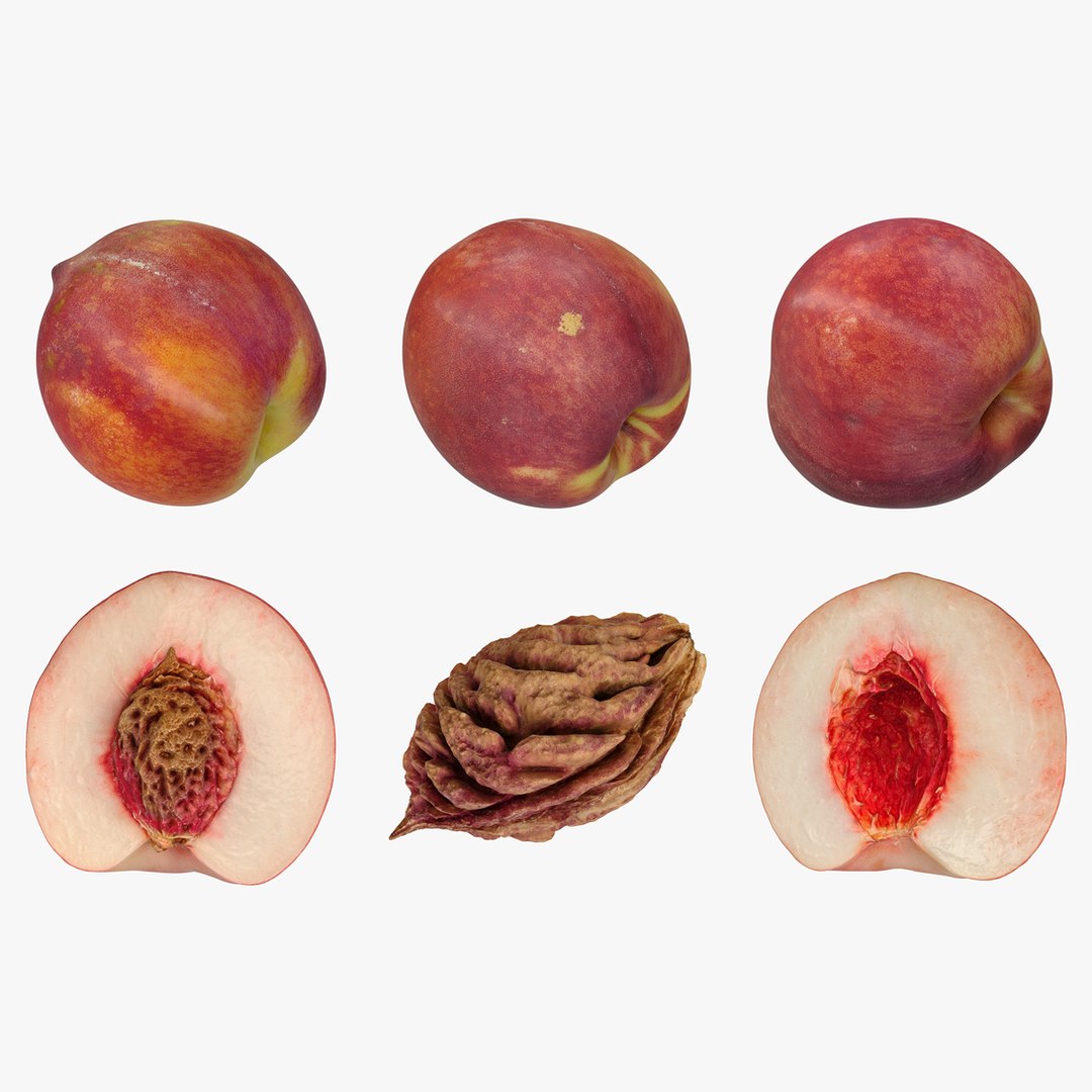 realistic peaches 3D https://p.turbosquid.com/ts-thumb/oJ/0glRln/eaaeKW49/00_01/png/1502721160/1920x1080/fit_q87/ee01e91e679520cced8c6fd87597e934ad72bdd3/00_01.jpg