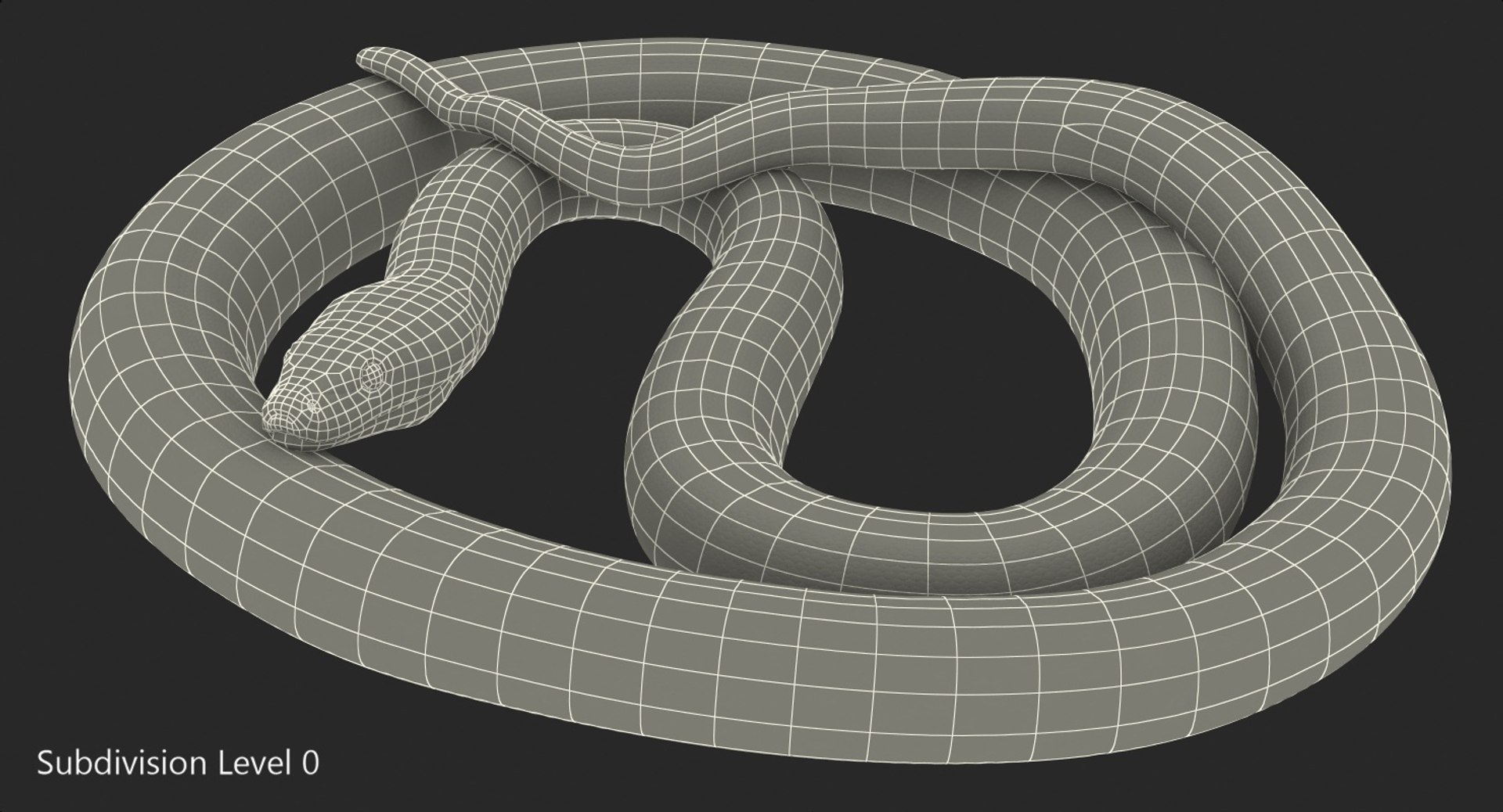 3D model green python snake rigged - TurboSquid 1417659