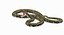 Green Python Snake Rigged