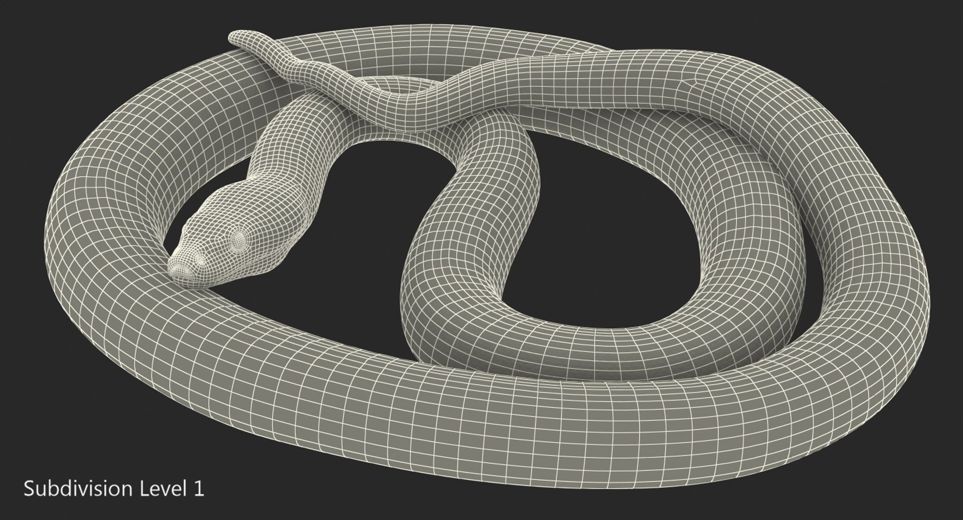 3D model green python snake rigged - TurboSquid 1417659