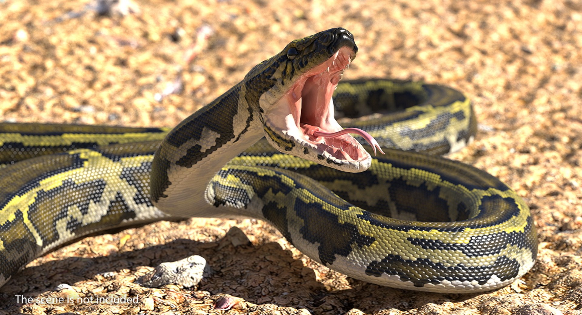 3D Model Green Python Snake Rigged - TurboSquid 1417659