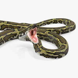Green Python Snake Rigged