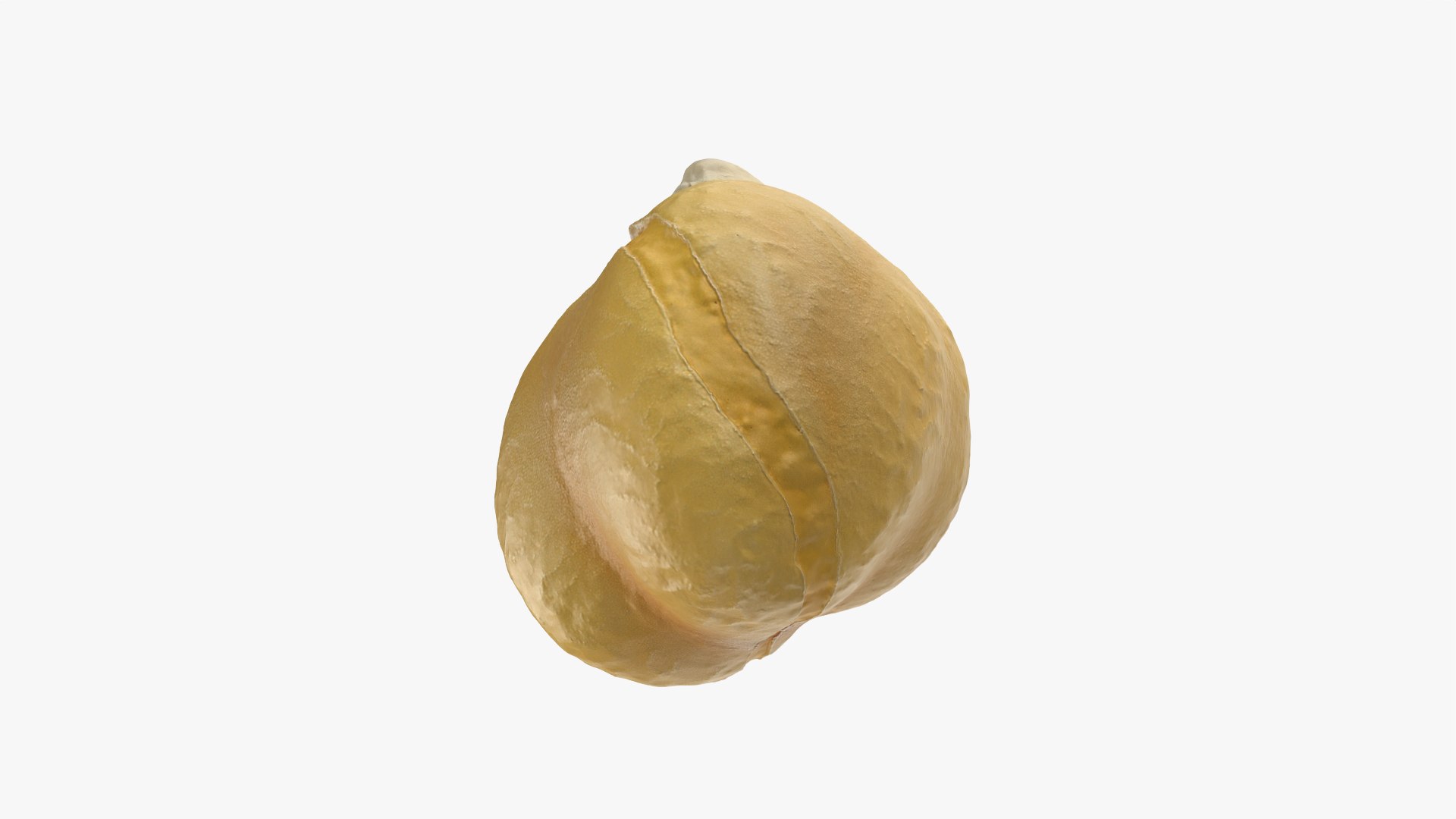 Boiled Chickpea 02 3D https://p.turbosquid.com/ts-thumb/oJ/EuR1Ur/Uu/chickpeaboil02_0008/png/1765370484/1920x1080/fit_q87/3edd21e7b455b5fbf30d5e6fb7be084919db5b08/chickpeaboil02_0008.jpg