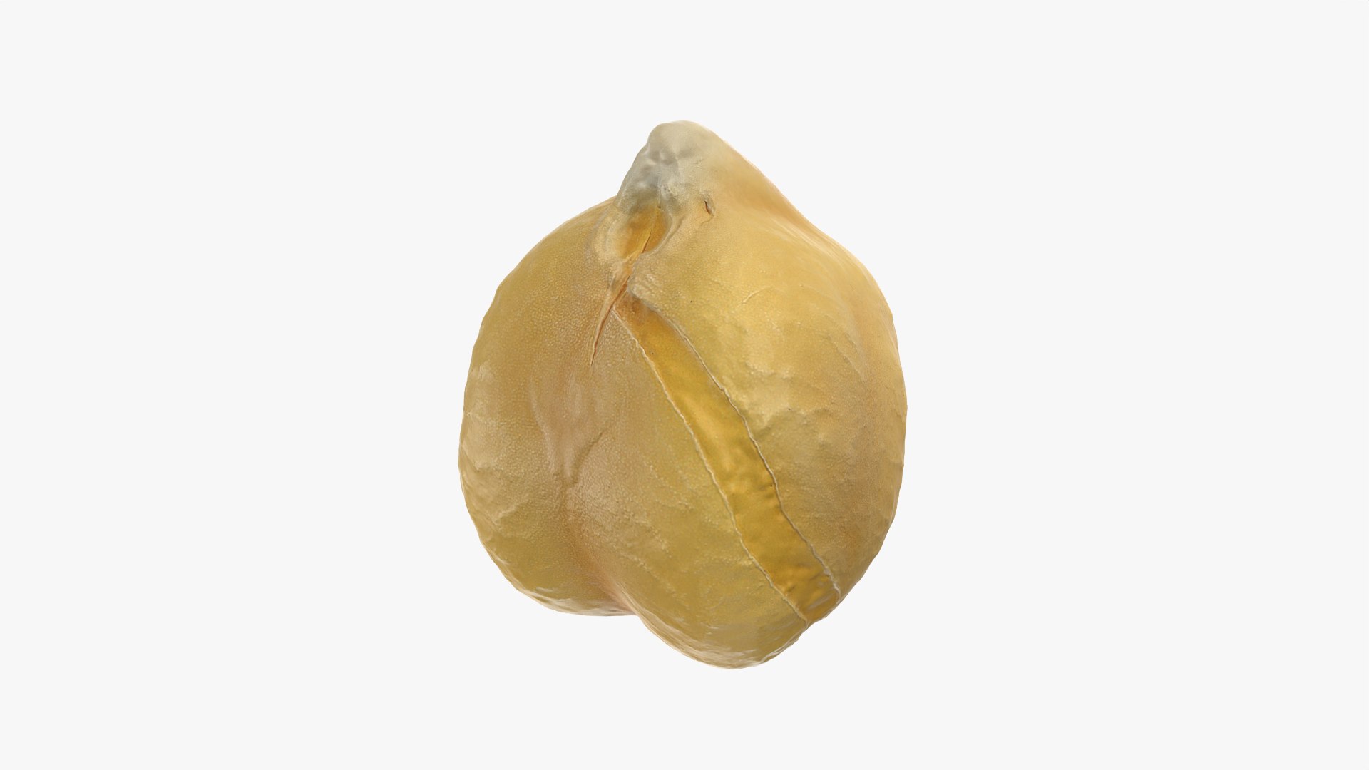 Boiled Chickpea 02 3D https://p.turbosquid.com/ts-thumb/oJ/EuR1Ur/Ye/chickpeaboil02_0005/png/1765370473/1920x1080/fit_q87/48c824ab7123c51626748da34eea0eafcc1a81b1/chickpeaboil02_0005.jpg