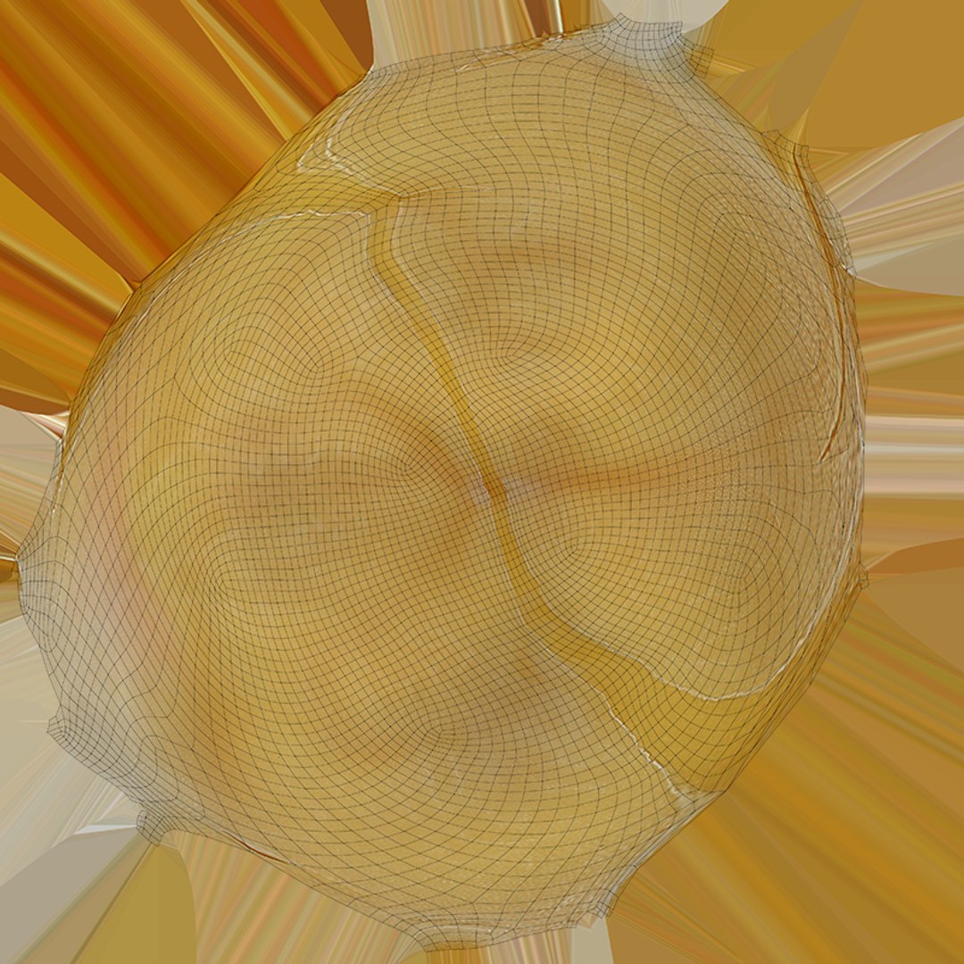 Boiled Chickpea 02 3D https://p.turbosquid.com/ts-thumb/oJ/EuR1Ur/ZZ/chickpeaboil02_c0004/png/1765370498/1920x1080/fit_q87/8926fea2328a59a08f1ee596ceaedb1641ef9057/chickpeaboil02_c0004.jpg