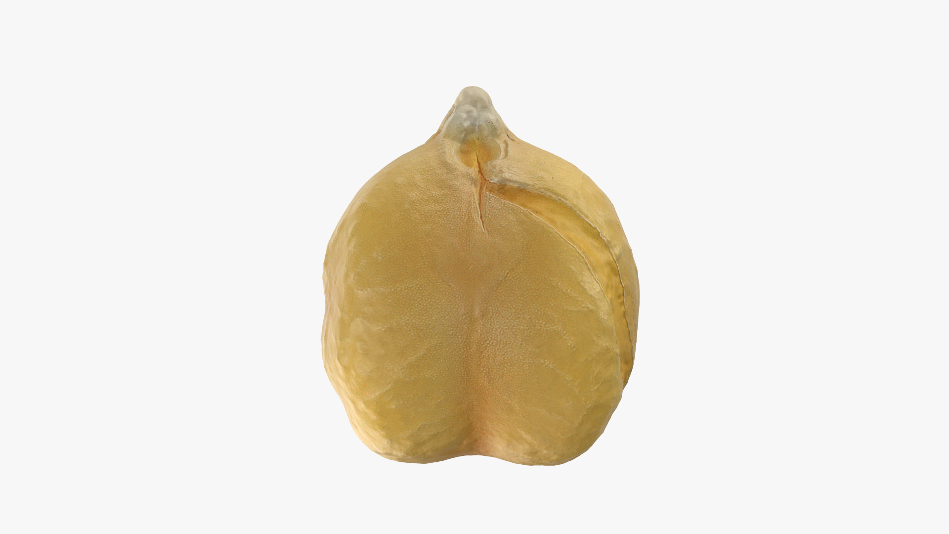 Boiled Chickpea 02 3D https://p.turbosquid.com/ts-thumb/oJ/EuR1Ur/bN/chickpeaboil02/png/1765599761/1920x1080/turn_fit_q99/231e29fe5853fbb94c1cfd955773c503aeb8c5be/chickpeaboil02-1.jpg
