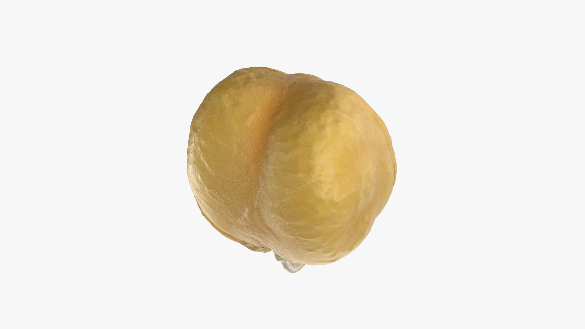 Boiled Chickpea 02 3D https://p.turbosquid.com/ts-thumb/oJ/EuR1Ur/kQ/chickpeaboil02_0012/png/1765370495/1920x1080/fit_q87/c9cd05668e16e5208859784dca50facb579d04d6/chickpeaboil02_0012.jpg
