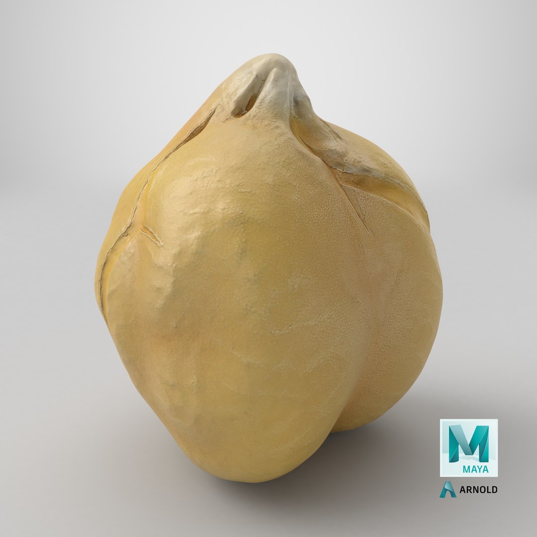 Boiled Chickpea 02 3D https://p.turbosquid.com/ts-thumb/oJ/EuR1Ur/q7/stemcell_maya_arnold_render/png/1765638094/1920x1080/fit_q87/a4dd0676fe433b85bef4a211509f9eb51126a12e/stemcell_maya_arnold_render.jpg
