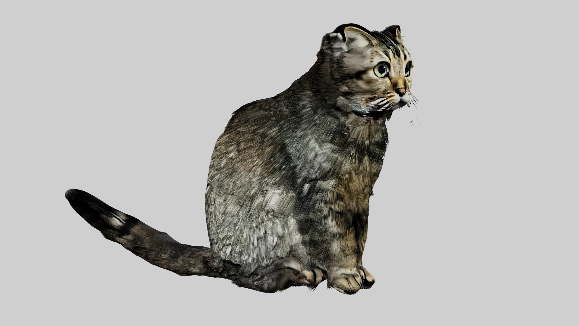 Cat 3D Model - TurboSquid 2517446