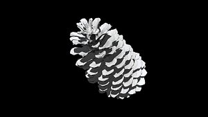 3D Pinecone01 3D CT scan model low poly
