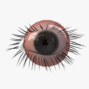 Realistic PBR Eye Set 8 Pieces