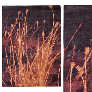 FIRELIGHT Rug 3D model