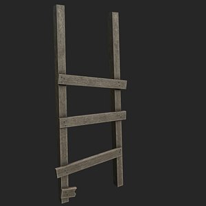 old ladder model
