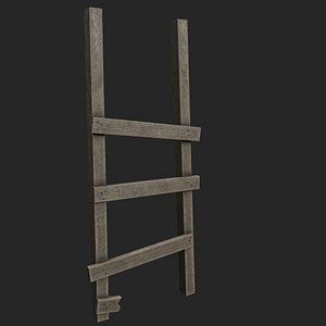 Old Ladder