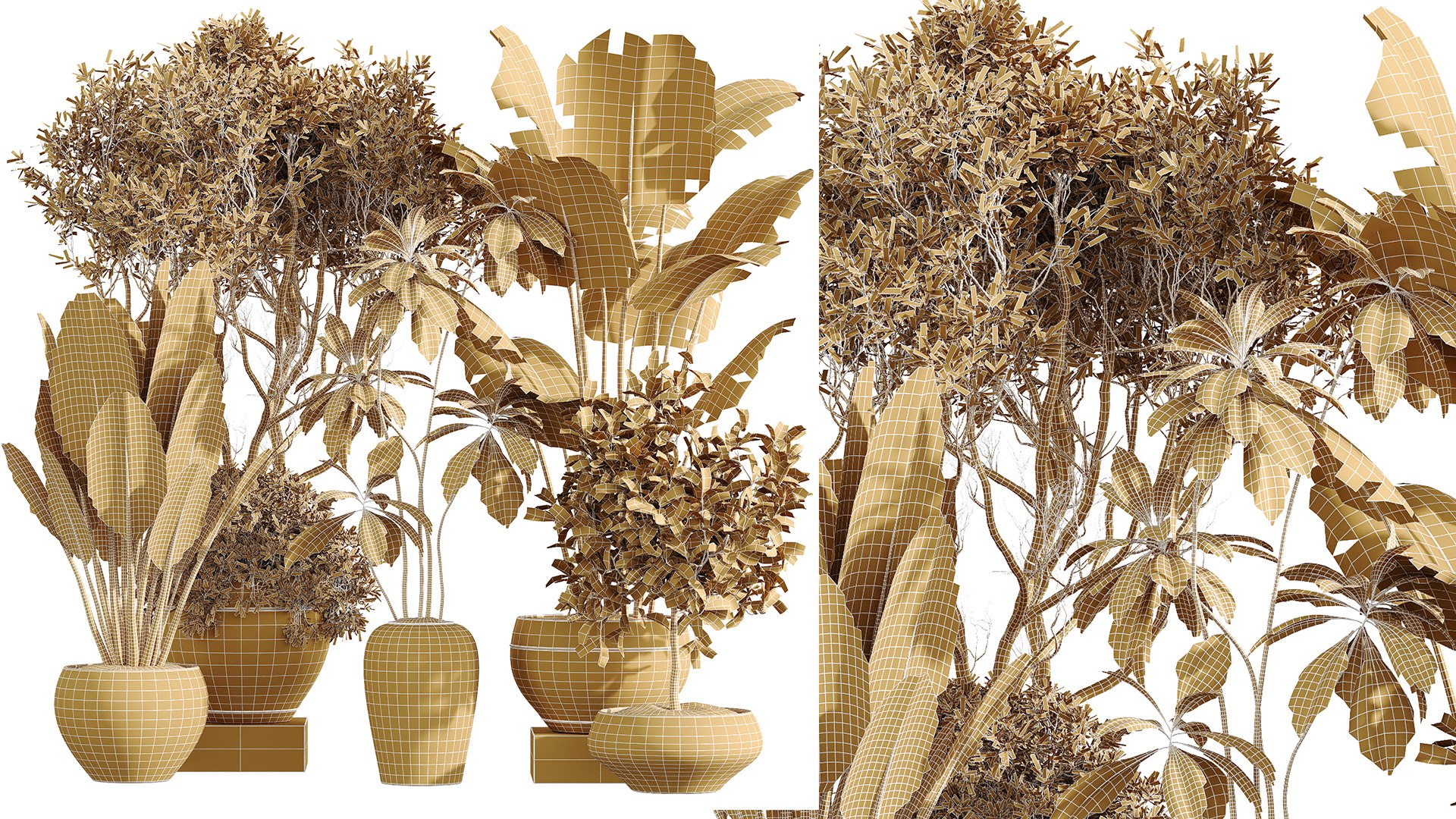 AV Indoor Plants Set 255 Arbequina Olive and Ficus Cyathistipula and Elegant Monstera and Beliza 3D model https://p.turbosquid.com/ts-thumb/oJ/sxQgXF/5c/07/png/1751879539/1920x1080/fit_q87/40e6f193a4fc1f52f17660dd0d437392efae3899/07.jpg