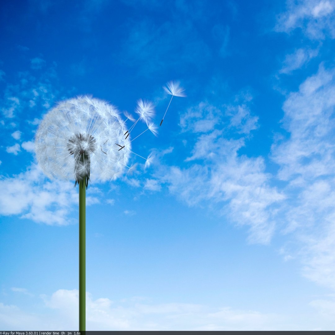 dandelion simple animation model https://p.turbosquid.com/ts-thumb/oK/2wTTSp/27fs2GGy/a_re/jpg/1556158163/1920x1080/fit_q87/a63a09a302e087c76af9da69feb0e092eb641299/a_re.jpg
