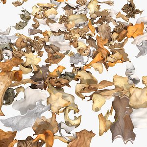 3d model paper trash rubbish