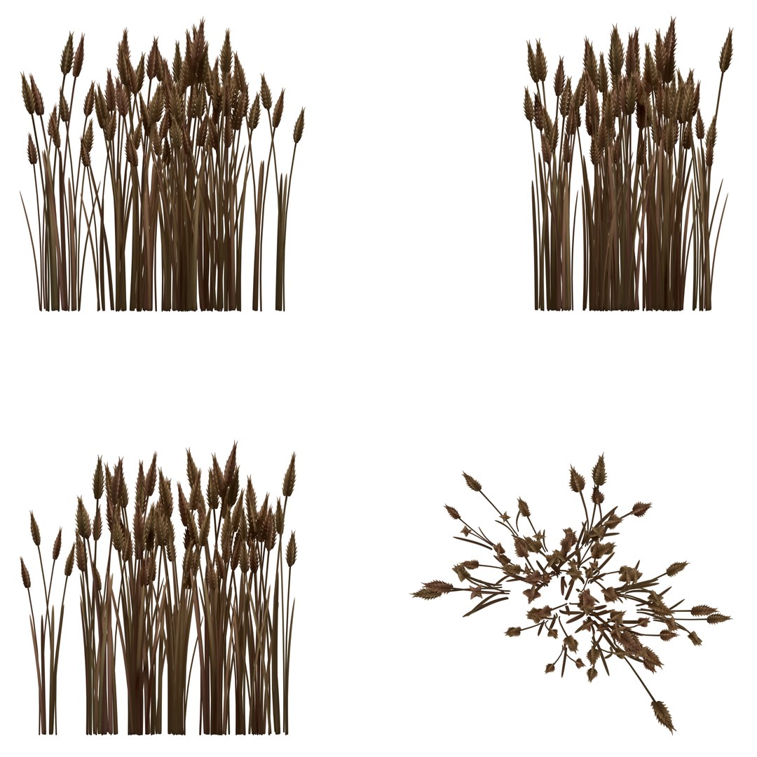 stylized wheat 3D model https://p.turbosquid.com/ts-thumb/oK/5ktheF/0GShTmzF/05/png/1538153724/1920x1080/fit_q87/11ad495d7d7588d7b4f58eac0fc0159f865d785d/05.jpg