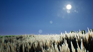 stylized wheat 3D model