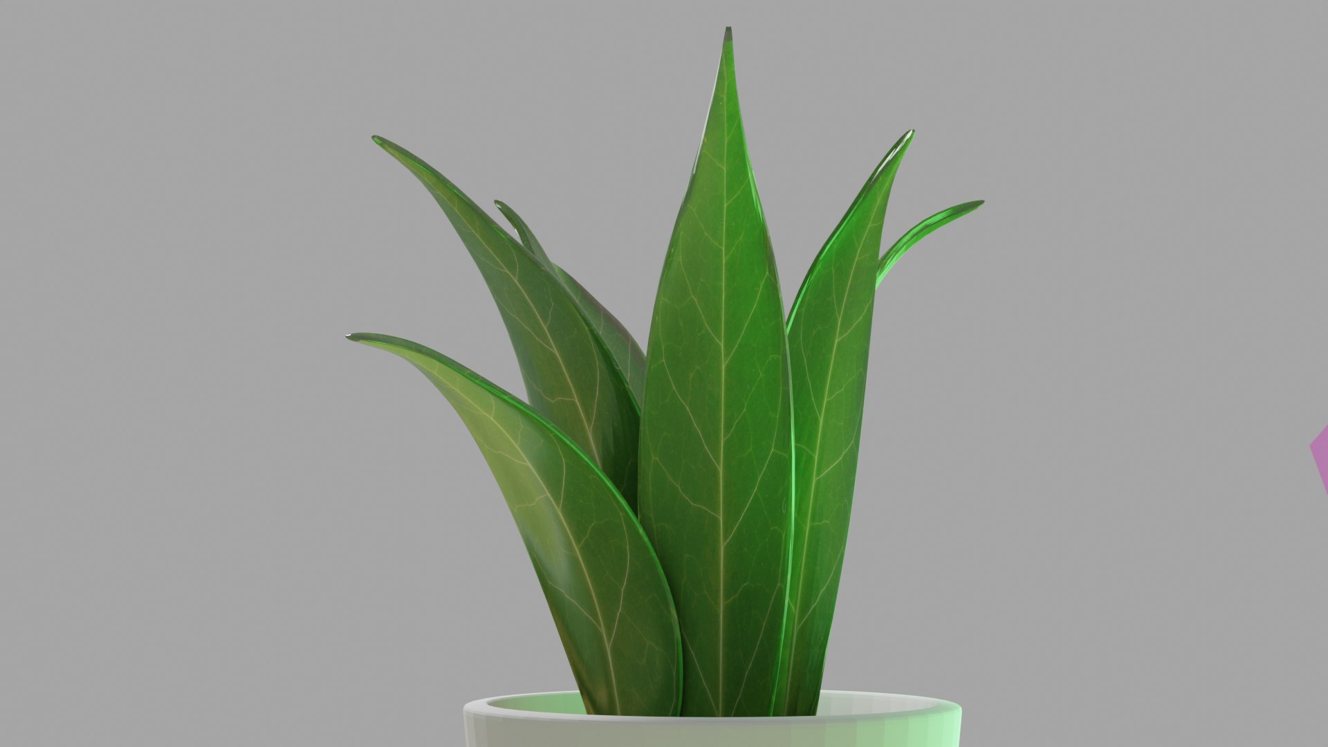 3D Pot  Plant https://p.turbosquid.com/ts-thumb/oK/8NwPFg/4A/preview7/png/1695456075/1920x1080/fit_q87/007a98e18f65524b2358dd4440ba3e055e5fb1d4/preview7.jpg