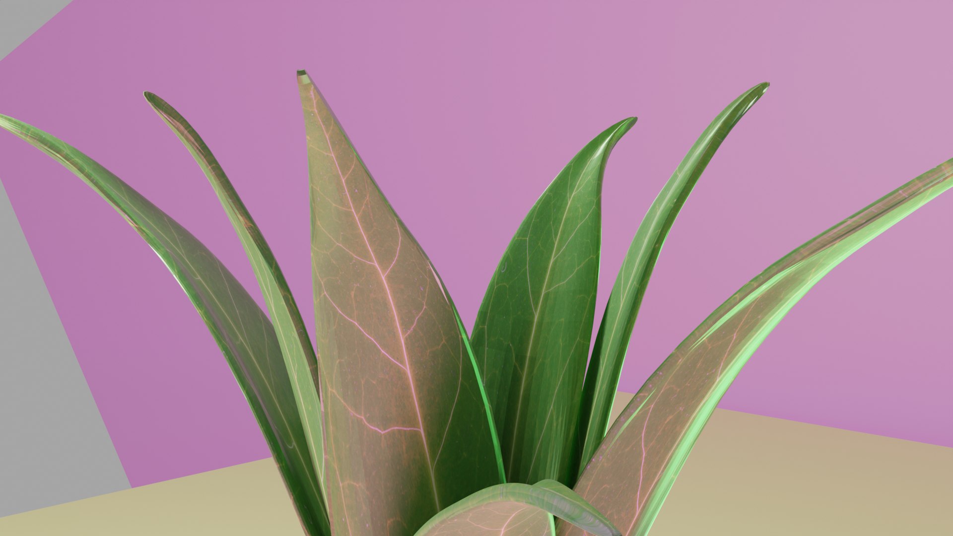 3D Pot  Plant https://p.turbosquid.com/ts-thumb/oK/8NwPFg/py/preview6/png/1695456077/1920x1080/fit_q87/3c85d64df92053f6ca5957b091ede51c446dd278/preview6.jpg
