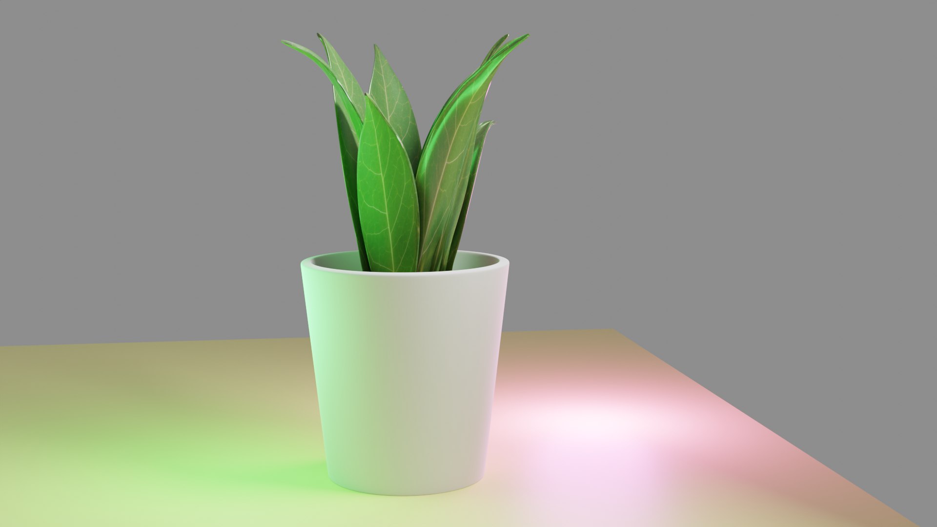 3D Pot  Plant https://p.turbosquid.com/ts-thumb/oK/8NwPFg/tK/preview4/png/1695451417/1920x1080/fit_q87/65b68e8ee0001829ade4f5ebec0435b7994d53d1/preview4.jpg