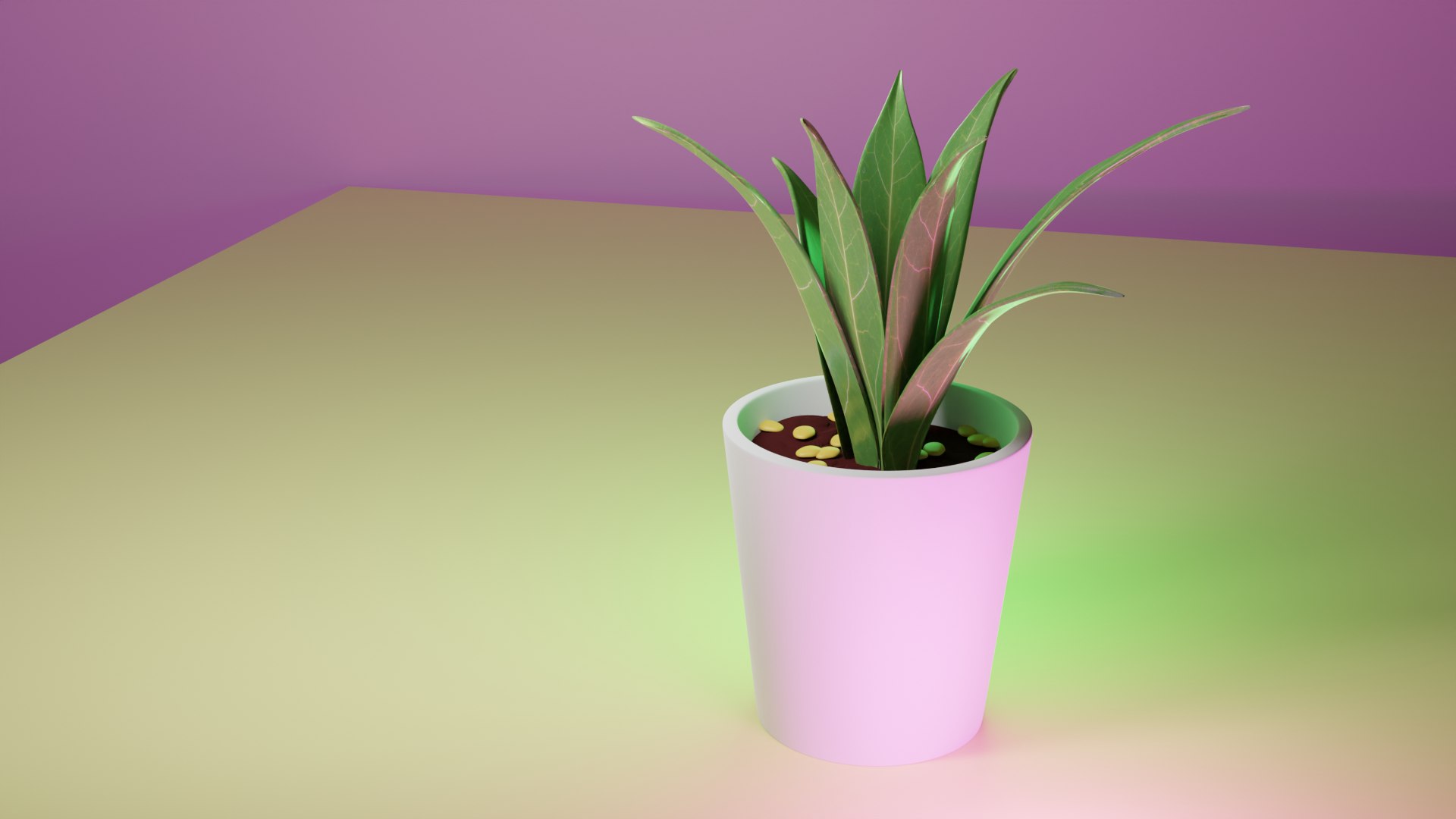 3D Pot  Plant https://p.turbosquid.com/ts-thumb/oK/8NwPFg/xe/preview1/png/1695451416/1920x1080/fit_q87/3f43a448d2900ab2bdeea70bdd90469ce2cab081/preview1.jpg