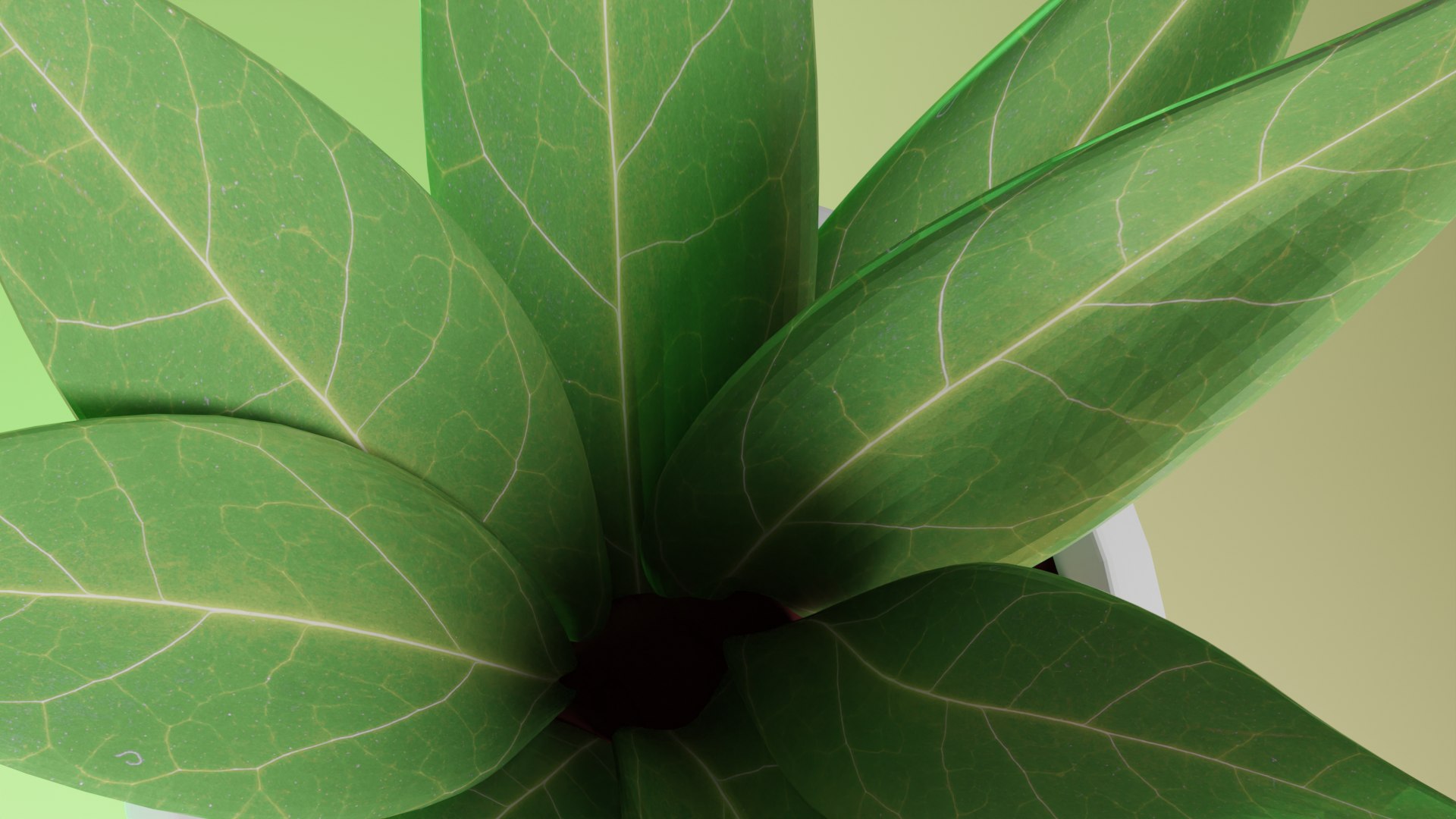 3D Pot  Plant https://p.turbosquid.com/ts-thumb/oK/8NwPFg/zt/preview8/png/1695456075/1920x1080/fit_q87/493bfd6694cc85fa2cc775f2ed03f62fd74d3c5c/preview8.jpg
