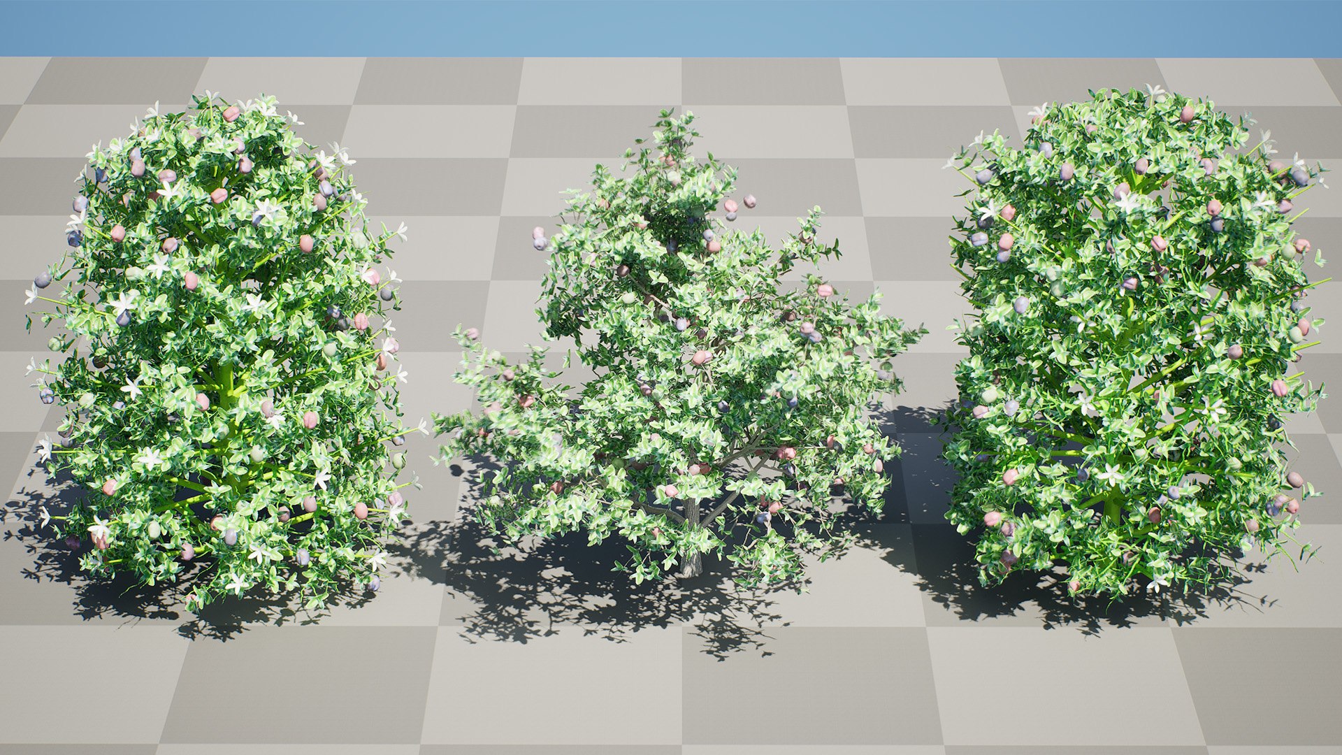 Carissa macrocarpa 3D Plant Model Pack 3D model https://p.turbosquid.com/ts-thumb/oK/NDngO7/EL/highresscreenshot00000/jpg/1750197318/1920x1080/fit_q87/0fc4478cc0ba3593d025d943810703a63dff9056/highresscreenshot00000.jpg