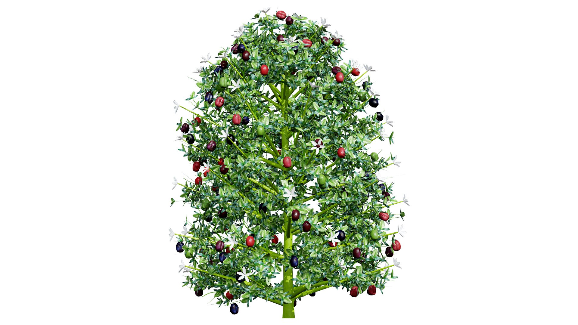 Carissa macrocarpa 3D Plant Model Pack 3D model https://p.turbosquid.com/ts-thumb/oK/NDngO7/VH/natalpluml/jpg/1750197319/1920x1080/fit_q87/c1c1971e3f01d063d5899328492486981201de22/natalpluml.jpg