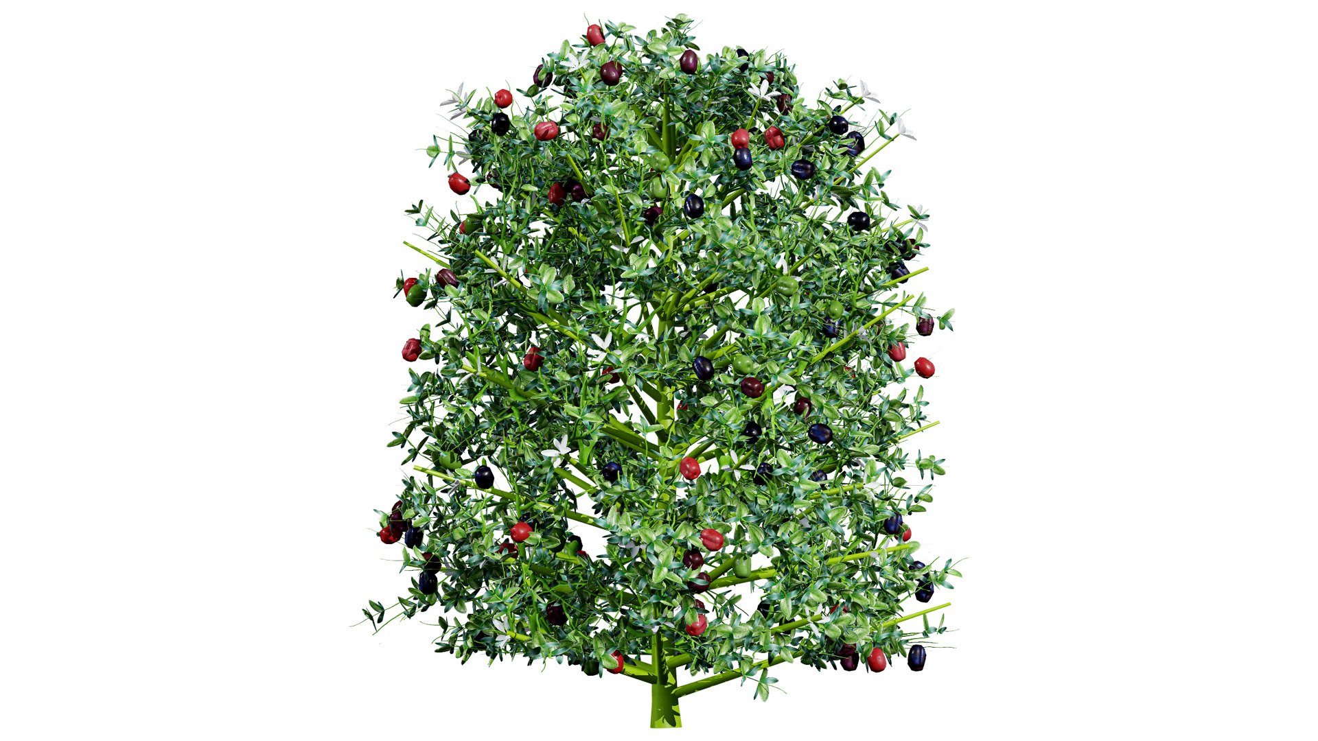 Carissa macrocarpa 3D Plant Model Pack 3D model https://p.turbosquid.com/ts-thumb/oK/NDngO7/ZV/natalplum2l/jpg/1750197324/1920x1080/fit_q87/539e2fe8c9827c70a4a00c96dd5c6e089758b82c/natalplum2l.jpg