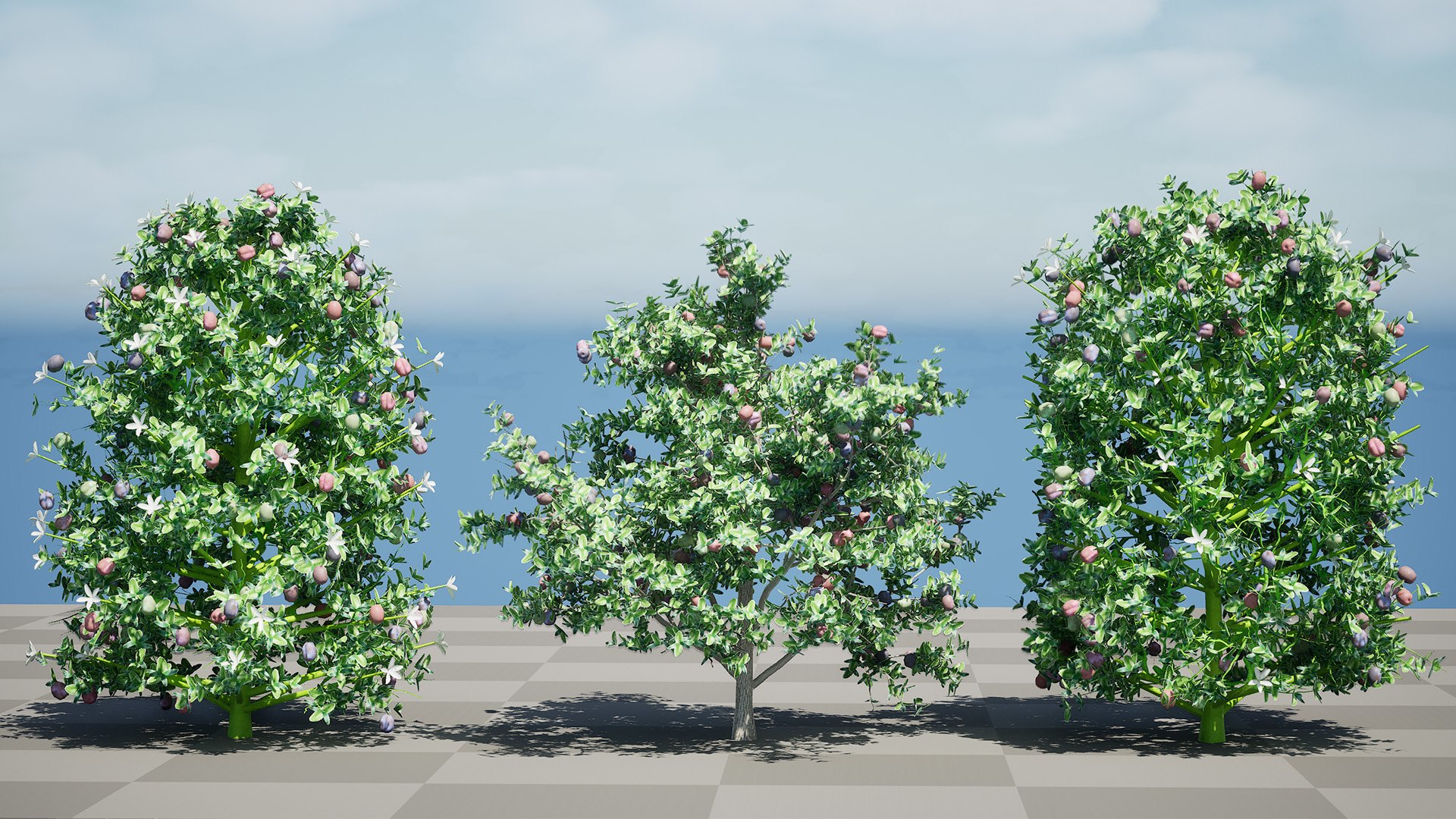 Carissa macrocarpa 3D Plant Model Pack 3D model https://p.turbosquid.com/ts-thumb/oK/NDngO7/iW/highresscreenshot00001/jpg/1750197318/1920x1080/fit_q87/38b4c30926d1cad93d7f4194004c7694280583c9/highresscreenshot00001.jpg