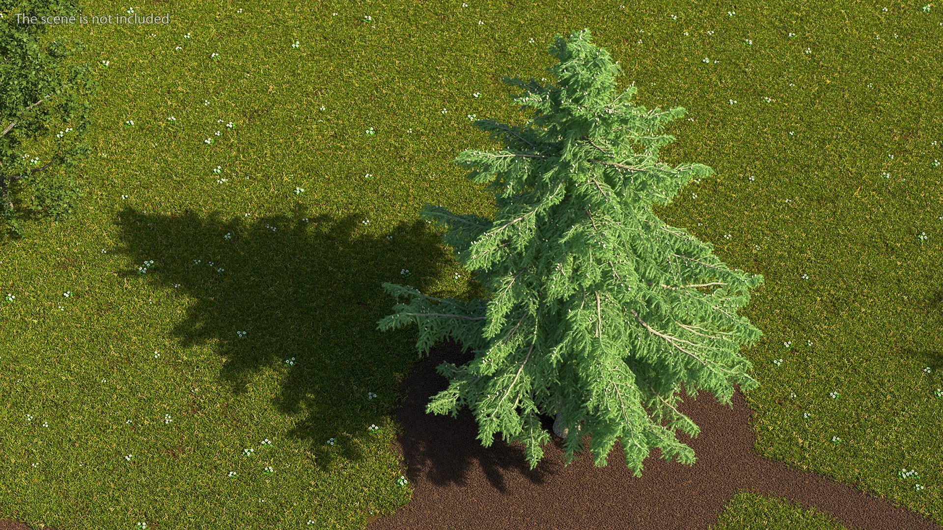 3D Evergreen Trees Collection 2 https://p.turbosquid.com/ts-thumb/oK/Tsu5hp/1w/evergreentreescollection2mb3dmodel025/jpg/1647002252/1920x1080/fit_q87/1f7b53041983854fde81a372998eaf4d998cd1ac/evergreentreescollection2mb3dmodel025.jpg