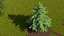 Evergreen Trees Collection 2