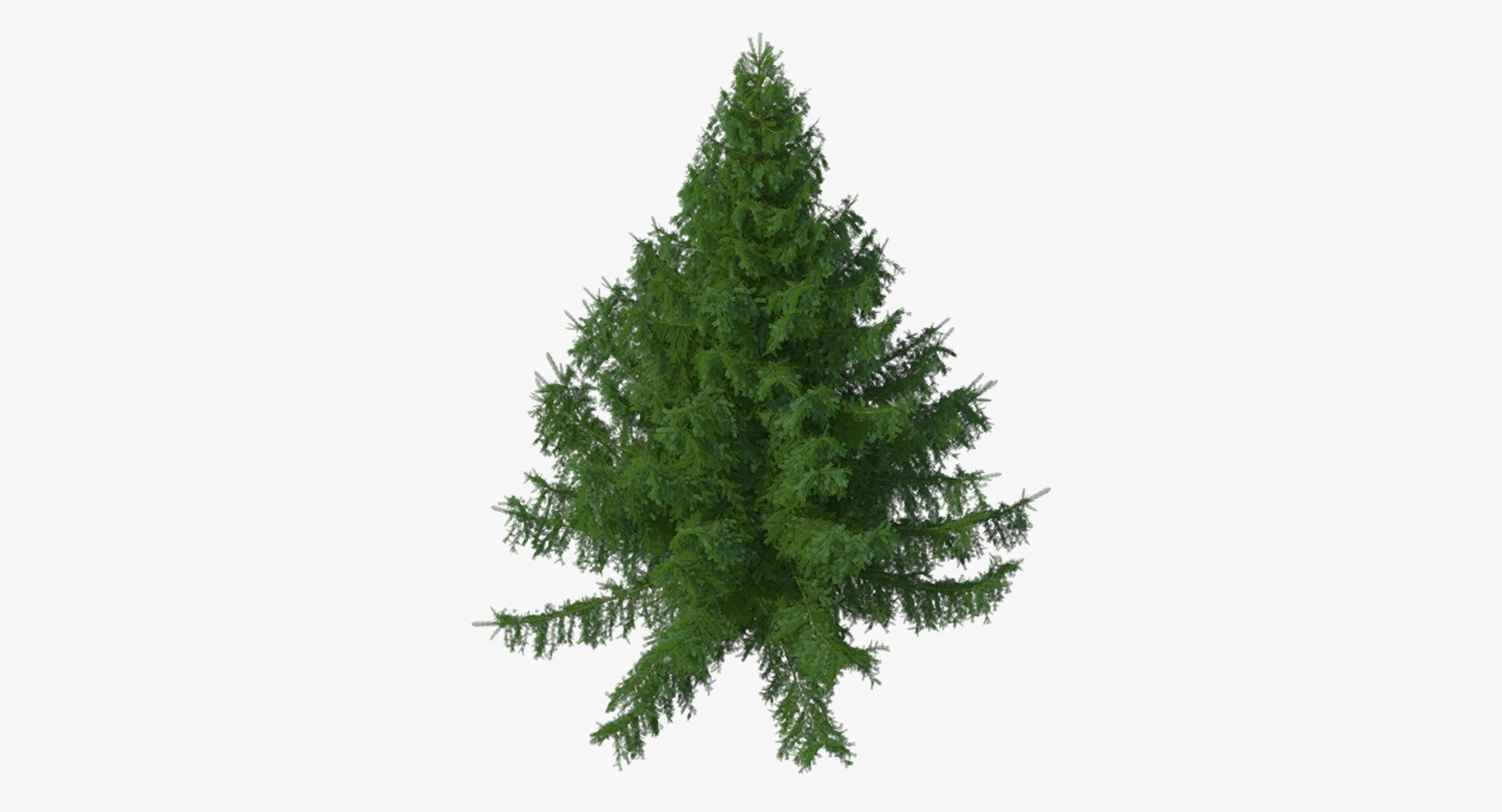 3D Evergreen Trees Collection 2 https://p.turbosquid.com/ts-thumb/oK/Tsu5hp/4c/evergreentreescollection2mb3dmodel005/jpg/1647002189/1920x1080/fit_q87/f7bf7febc742753d683983053ad51bd461b25261/evergreentreescollection2mb3dmodel005.jpg
