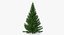 Evergreen Trees Collection 2