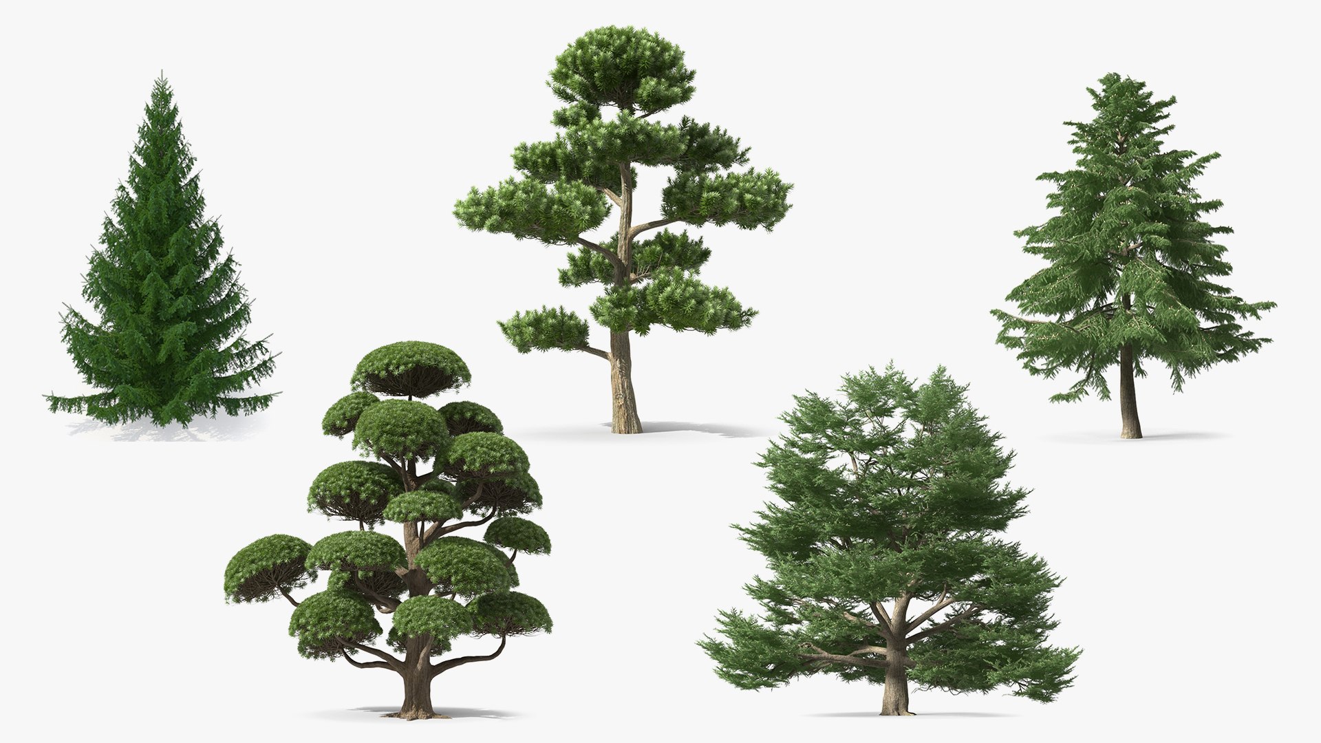 3D Evergreen Trees Collection 2 https://p.turbosquid.com/ts-thumb/oK/Tsu5hp/F5/evergreentreescollection2mb3dmodel001/jpg/1647002177/1920x1080/fit_q87/5bfee725b68738bfda194b44d0b62406cdbc5ecc/evergreentreescollection2mb3dmodel001.jpg