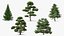 Evergreen Trees Collection 2