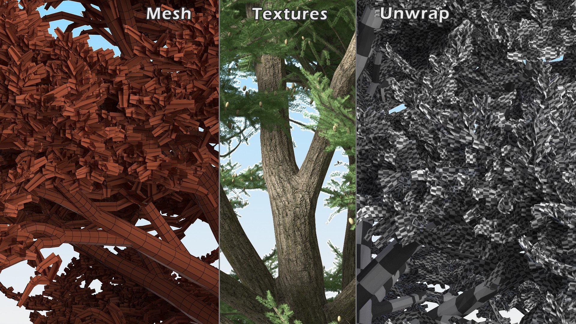 3D Evergreen Trees Collection 2 https://p.turbosquid.com/ts-thumb/oK/Tsu5hp/Gh/evergreentreescollection2mb3dmodel046/jpg/1647002318/1920x1080/fit_q87/e081a7d6c952ae662d2ed23f54e8b0a52ecc8f99/evergreentreescollection2mb3dmodel046.jpg