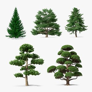 3D Evergreen Trees Collection 2