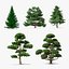 Evergreen Trees Collection 2