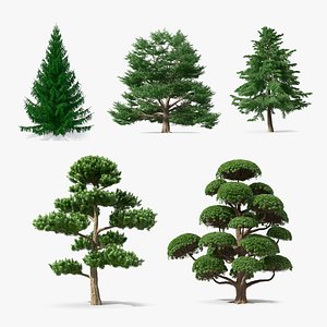 Evergreen Trees Collection 2