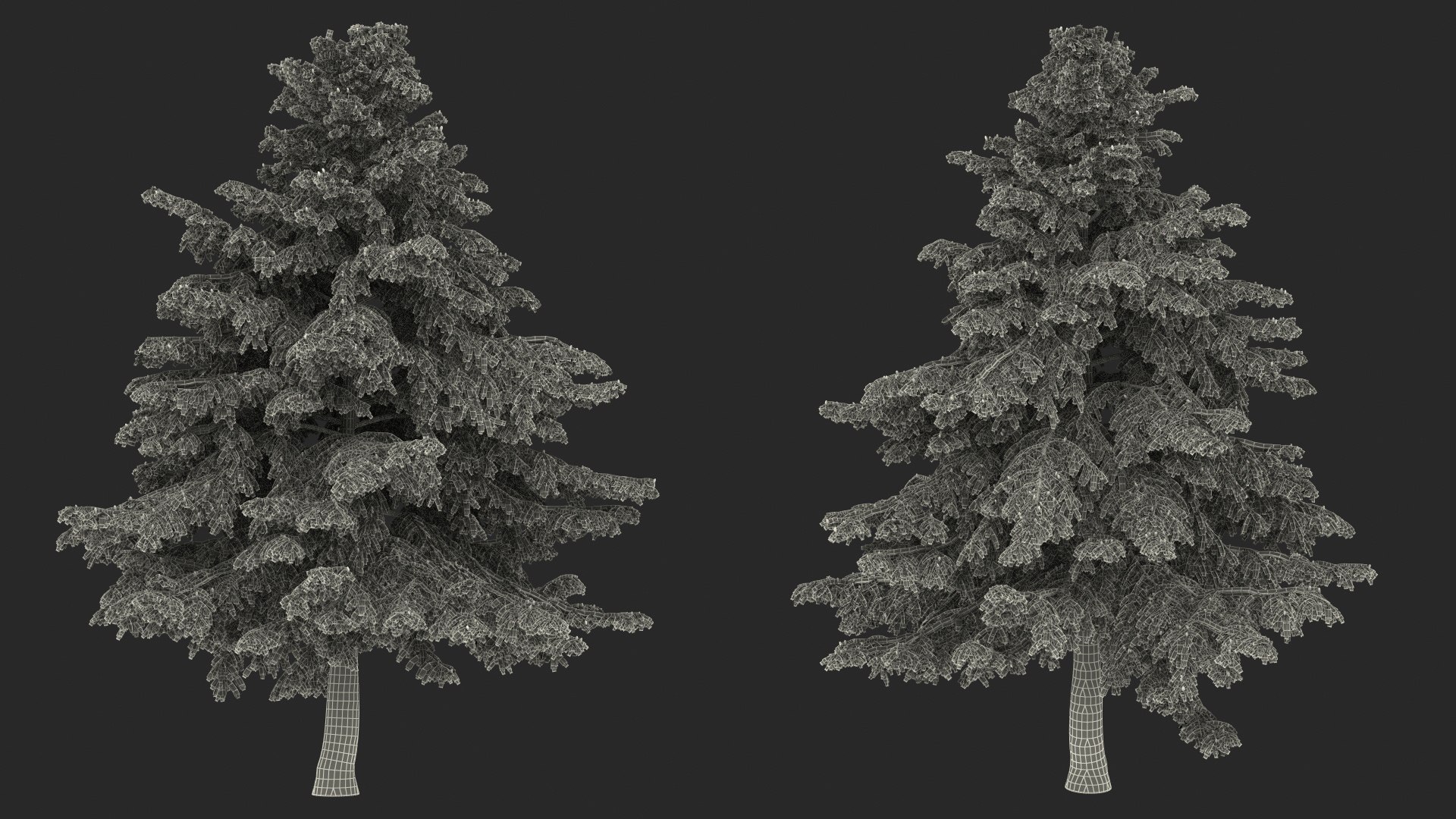 3D Evergreen Trees Collection 2 https://p.turbosquid.com/ts-thumb/oK/Tsu5hp/Ny/evergreentreescollection2mb3dmodel069/jpg/1647002391/1920x1080/fit_q87/e28b70f9a10cb74b7cb283dc66d84b38d7c2f662/evergreentreescollection2mb3dmodel069.jpg
