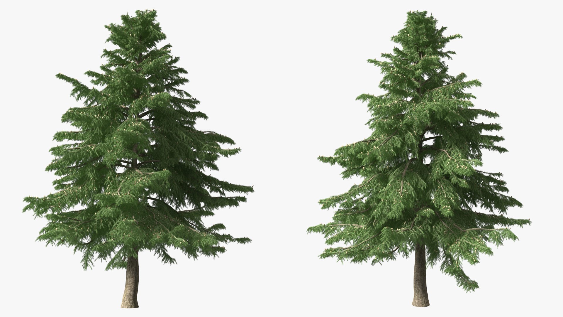 3D Evergreen Trees Collection 2 https://p.turbosquid.com/ts-thumb/oK/Tsu5hp/R4/evergreentreescollection2mb3dmodel032/jpg/1647002273/1920x1080/fit_q87/56425e0ccaf0c3ef6abe38d9b7c7e215b479d70f/evergreentreescollection2mb3dmodel032.jpg