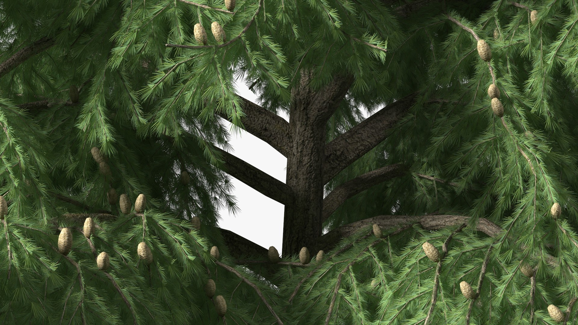 3D Evergreen Trees Collection 2 https://p.turbosquid.com/ts-thumb/oK/Tsu5hp/R5/evergreentreescollection2mb3dmodel035/jpg/1647002282/1920x1080/fit_q87/320ca437fe0f01351065256f1f62d28c33513063/evergreentreescollection2mb3dmodel035.jpg