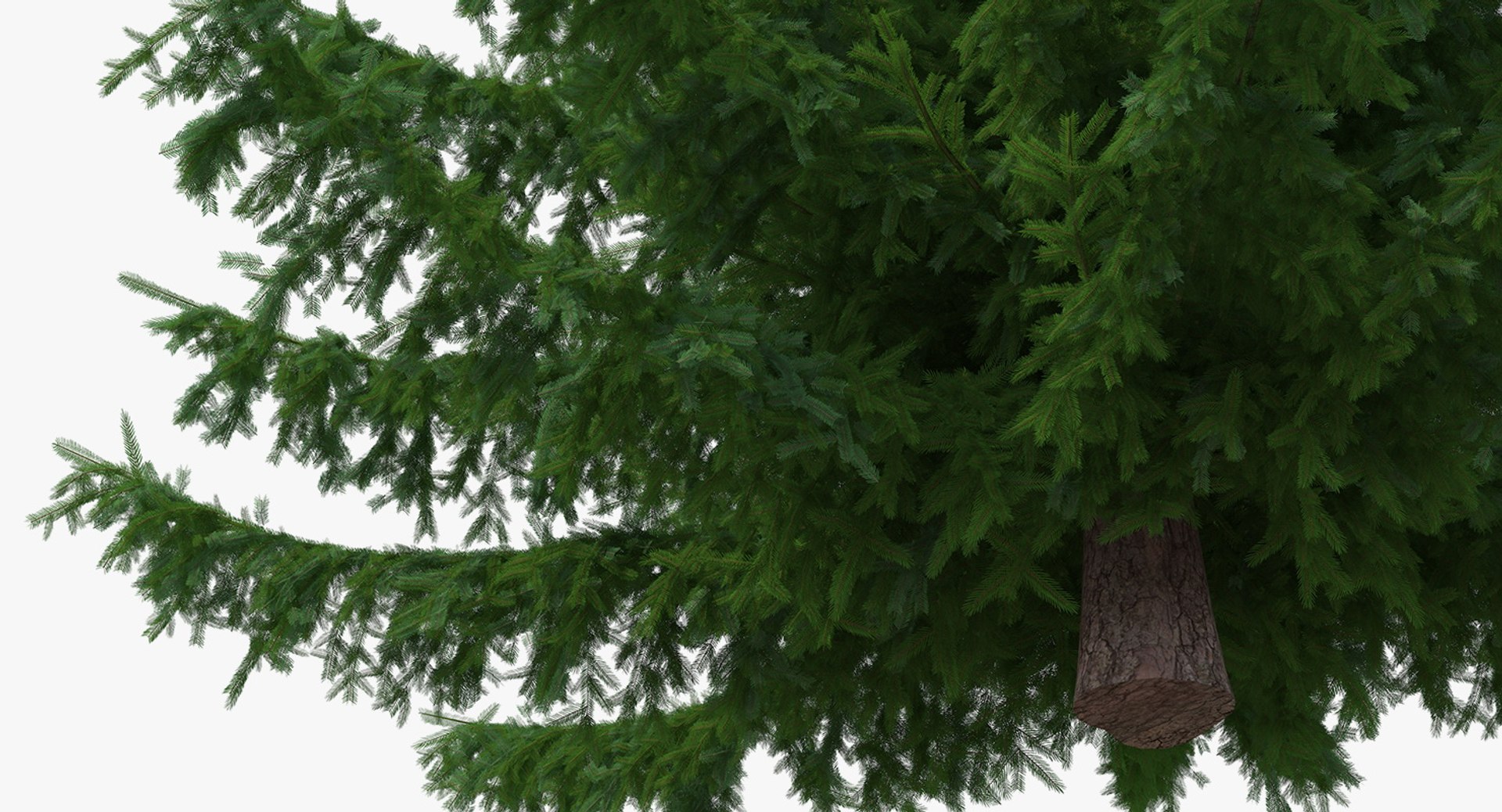 3D Evergreen Trees Collection 2 https://p.turbosquid.com/ts-thumb/oK/Tsu5hp/UP/evergreentreescollection2mb3dmodel006/jpg/1647002192/1920x1080/fit_q87/92188981fbaaa0a7409795ad78190f6632fb77fa/evergreentreescollection2mb3dmodel006.jpg